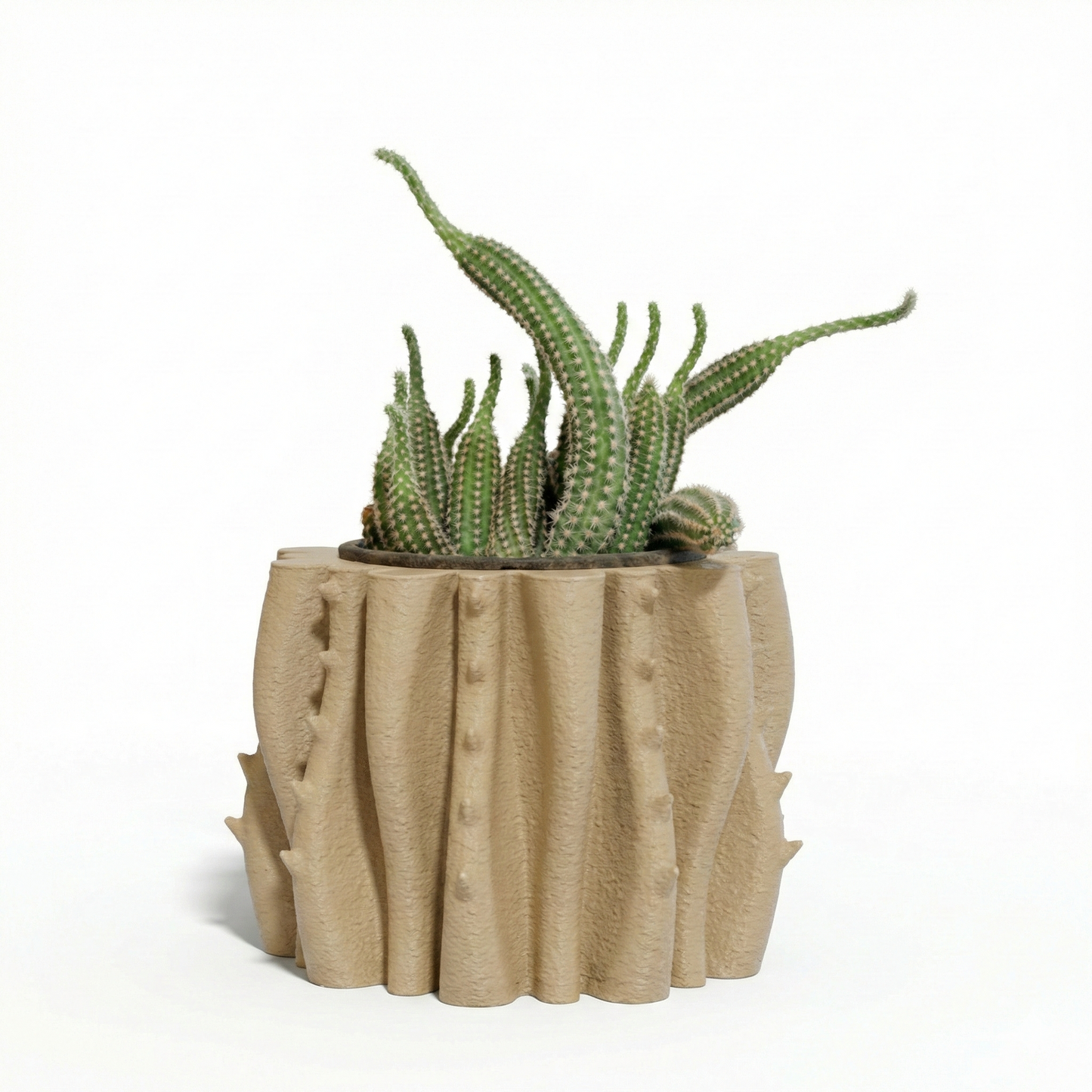 Bloom Planter - oak finish 10x13 cm