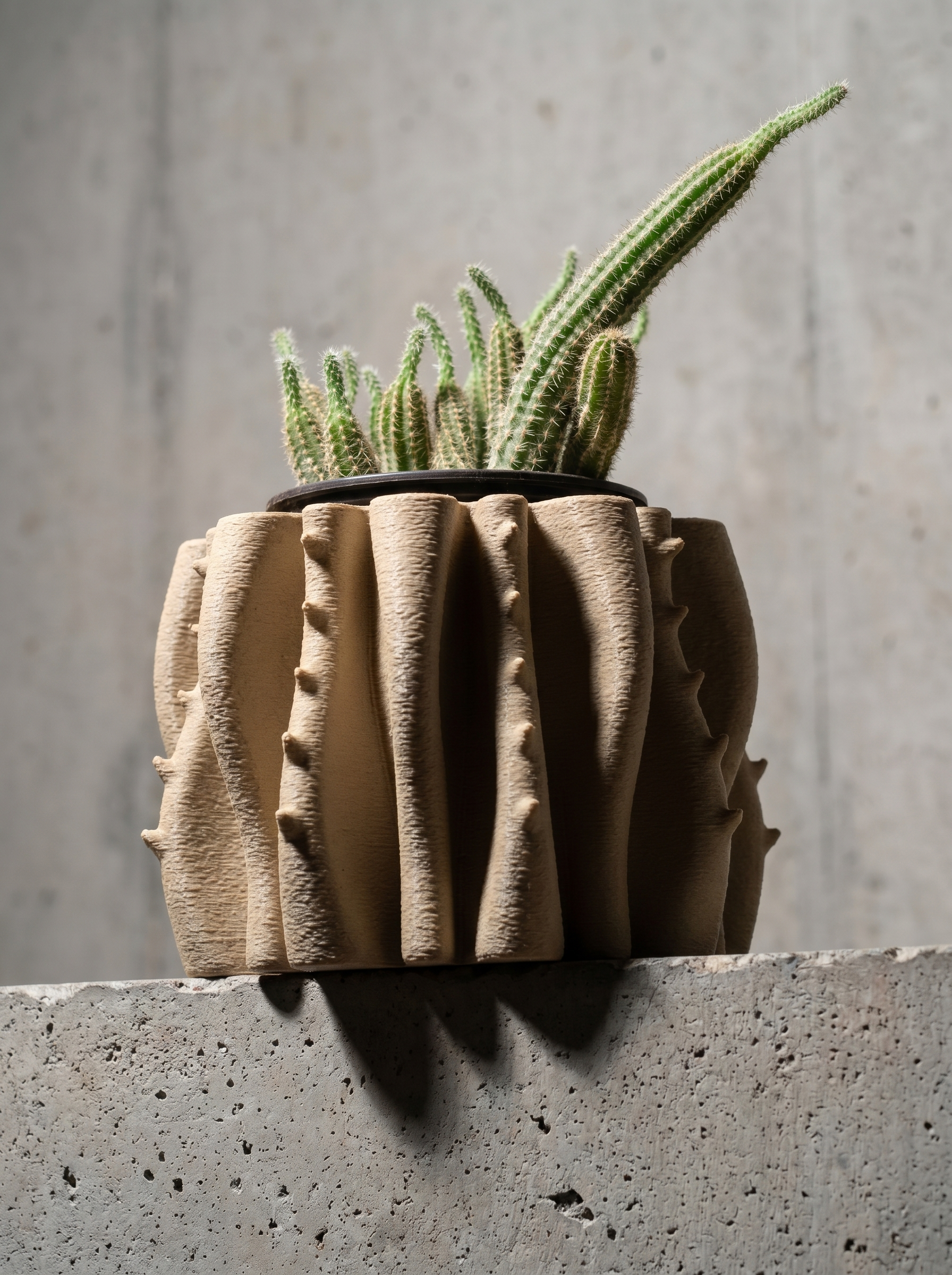 Bloom Planter