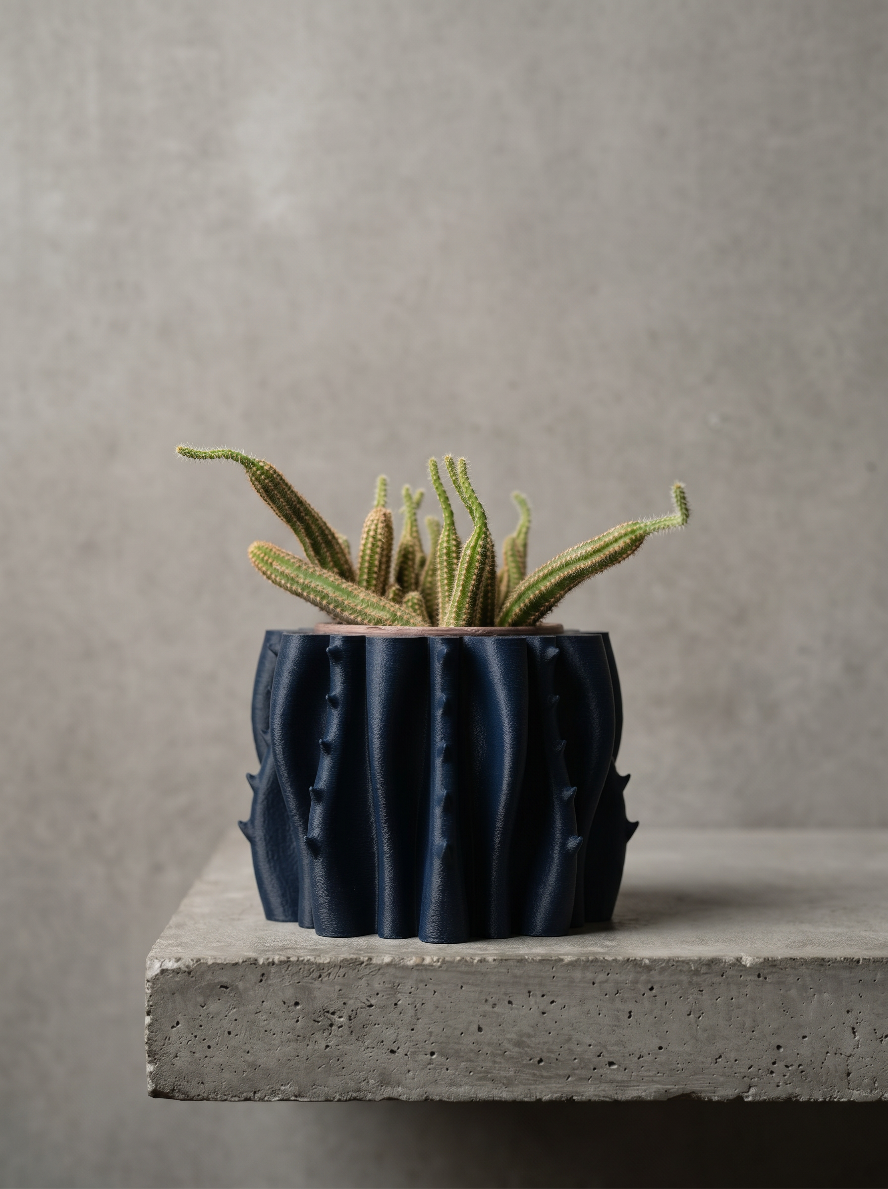 Bloom Planter